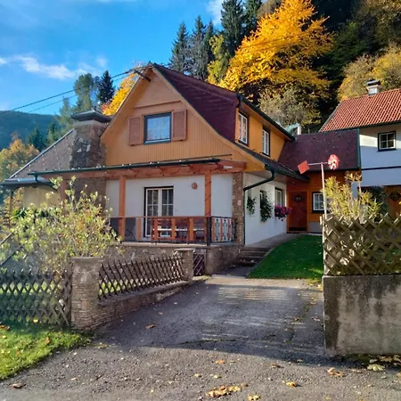 Bauer * Trattenbach (Lower Austria)