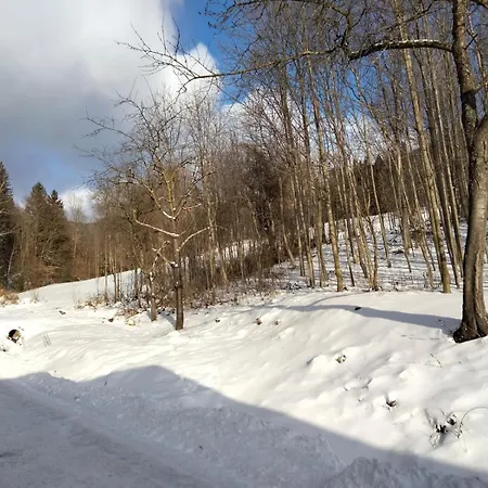 Bauer Trattenbach (Lower Austria)