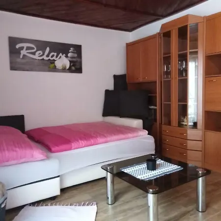 Bauer Apartment Trattenbach (Lower Austria)
