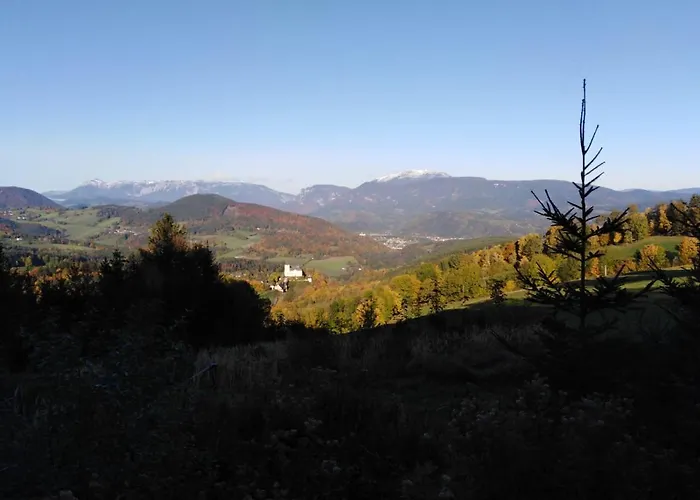 Bauer Apartamento Trattenbach (Lower Austria)